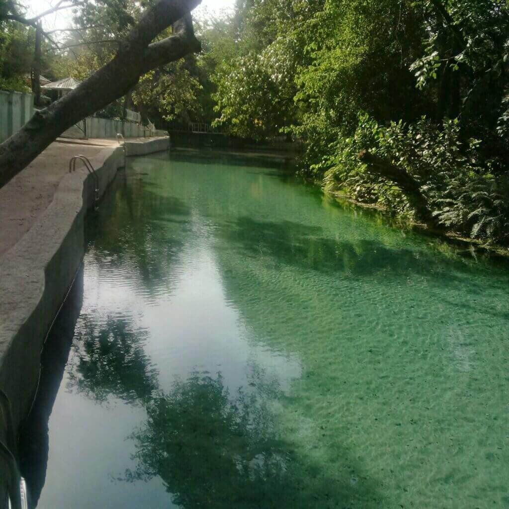 22DD207E 42DC 46DA 8B36 7F510613E20A