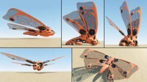 andrew hodgson board