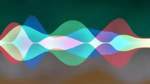 d2oc4DXv4Cm37KU8mG4bRT 1200 80.jpg