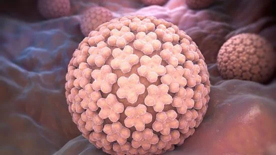 HUMAN PAPILOMAVIRUS