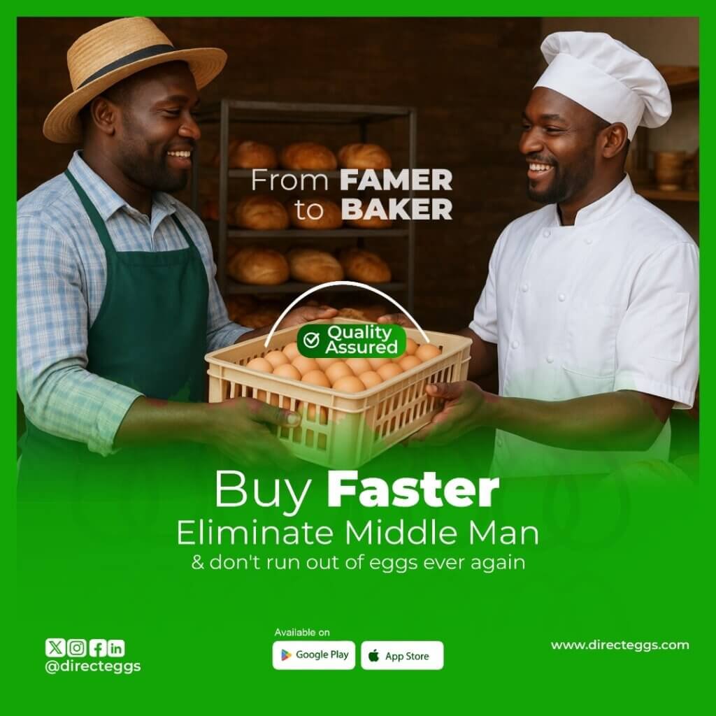 DirectEggs app marketplace for egg farmers in Nigeria